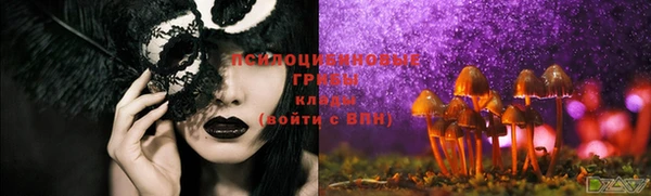 мдма Ладушкин