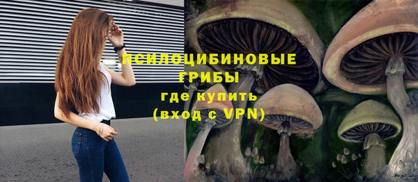 эйфоретик Майский