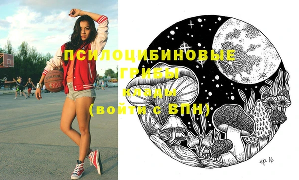 spice Кукмор