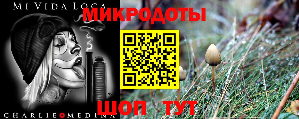 Галлюциногенные грибы Psilocybine cubensis  Вход с VPN  Лесозаводск  Галлюциногенные грибы Psilocybine cubensis 
