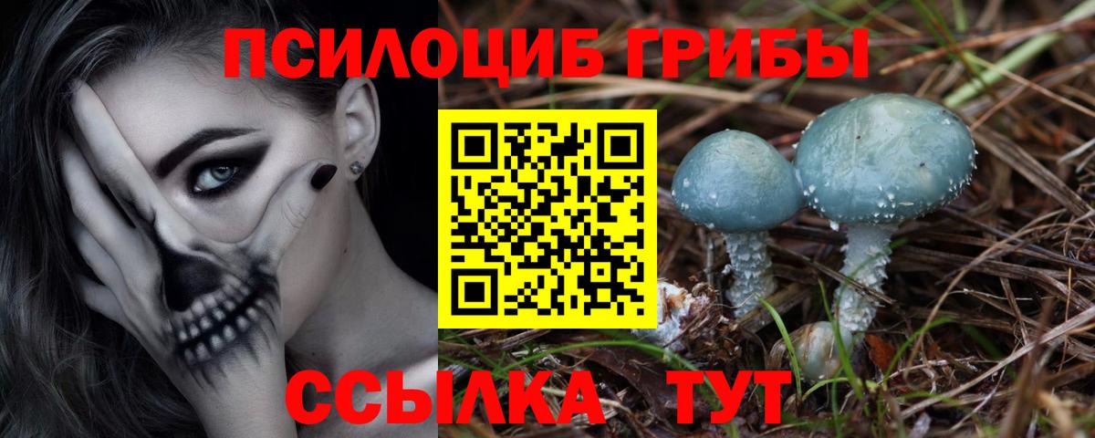Псилоцибиновые грибы ЛСД Лесозаводск